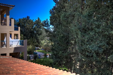 View from roof