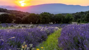 Provence