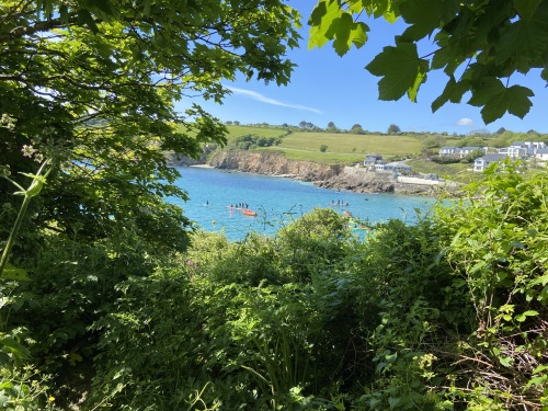 Paddle boarding at Swanpool Beach