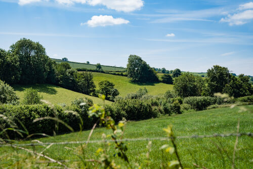 Overlooking our furthest field