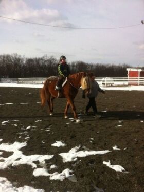 Riding lessons in the spring