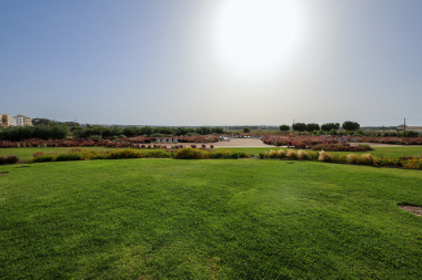 Garden, shared outdoor area