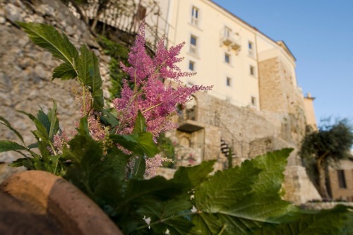 Sotto Le Stelle from the garden