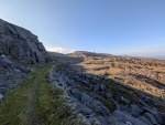 Local walks 