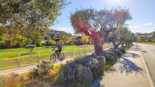 Le parc du bocage :  12 hectares de nature attenant à la propriété.