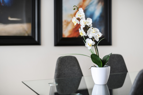 Comfortable dinning chairs to have dinner/breakfast