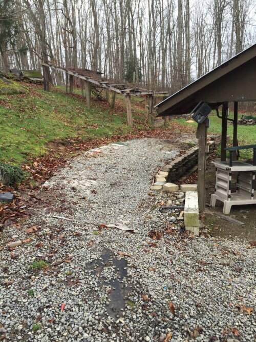 Back yard
