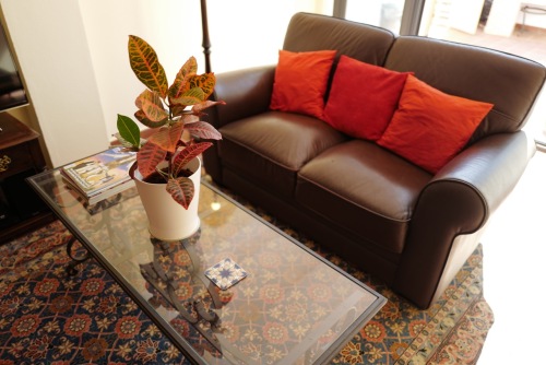 Living room with doors to patio