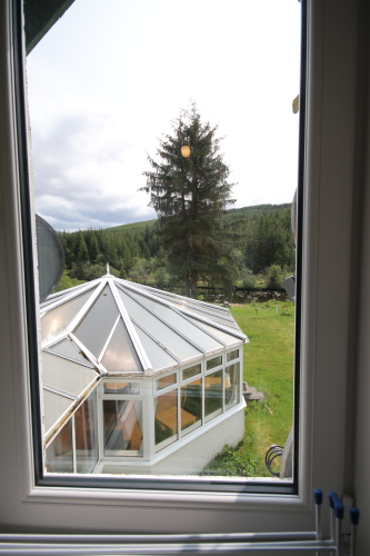 view from Kitchen window