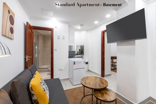 Studio Apartment - Basement