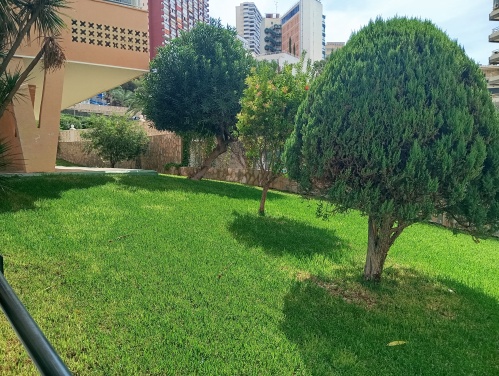 Jardín