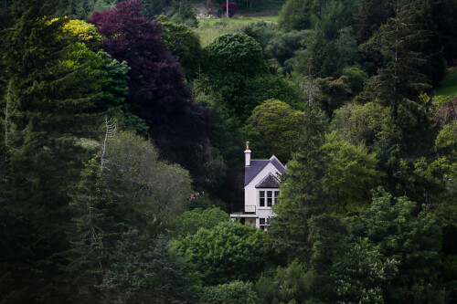 Luxury-House-Ensuite with Bath-Woodland view-Home Farm  - Home Farm 1 Week Rental