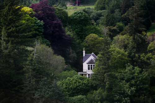Home Farm Oban - Lost in trees
