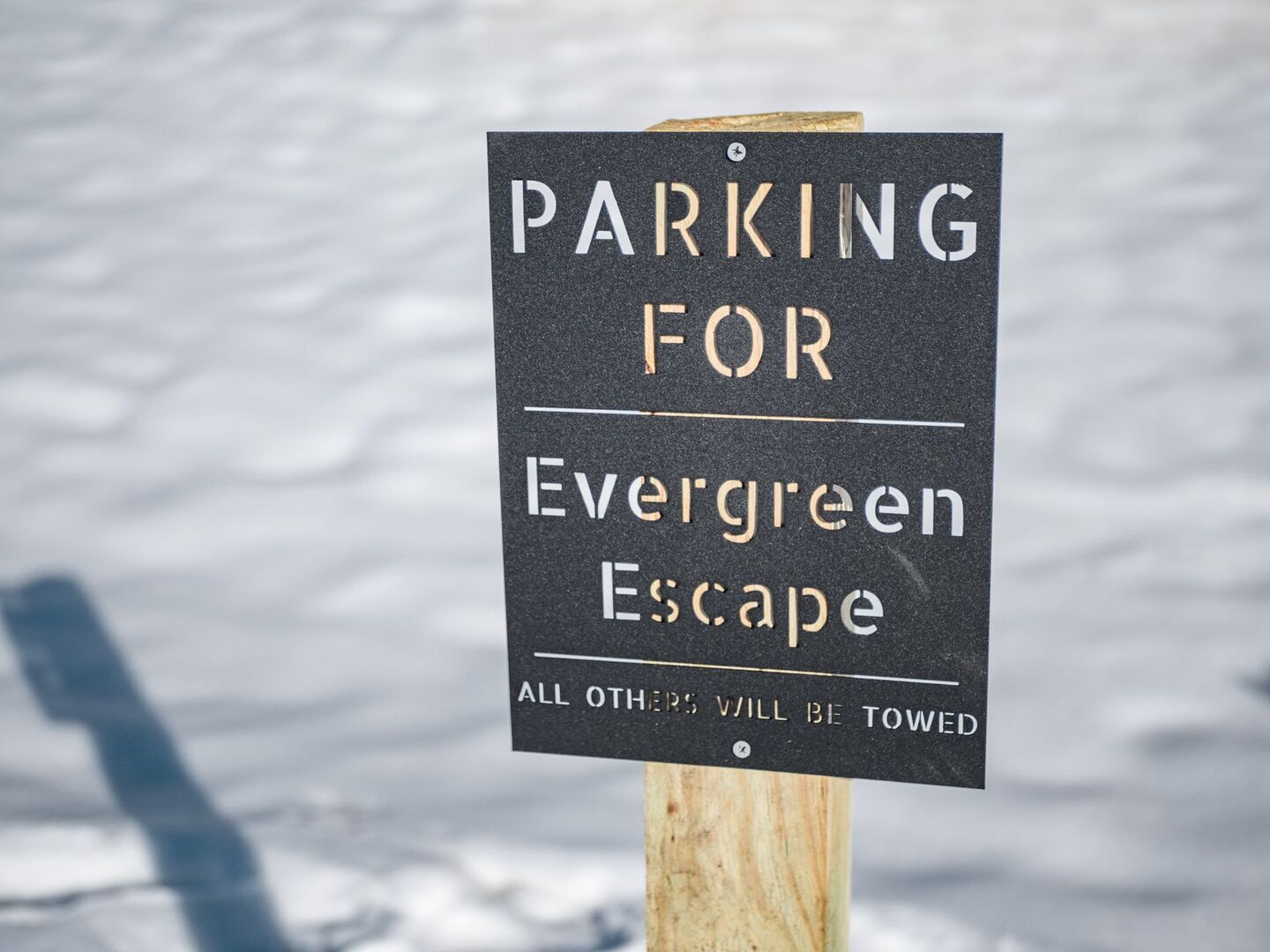 Evergreen Escape | Photo 33