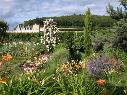 jardin en fleurs et vue du Château