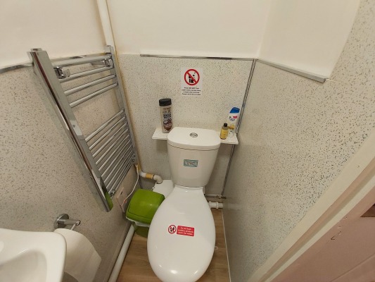 Toilet picture