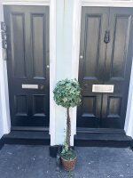 Studio and 2 bed Flat - Front Door Please Use the Left One