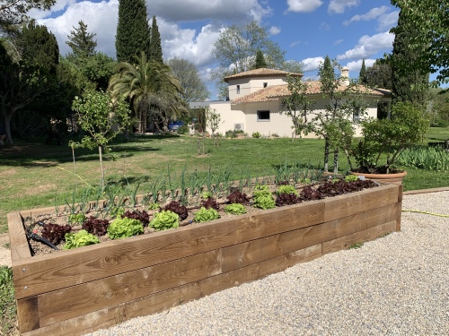 Le potager 