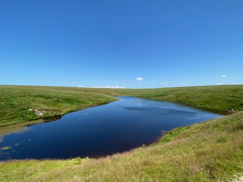 Wild moorland swimming in nearby "Pinkery Pond"