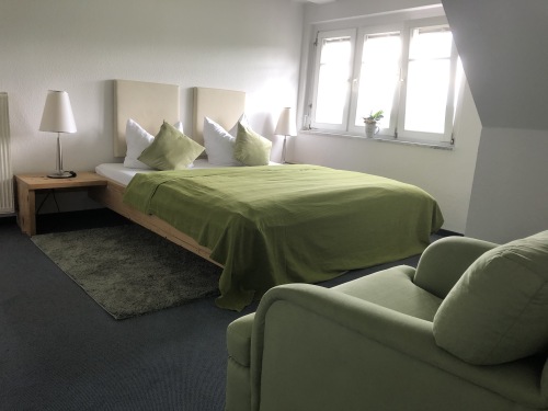 Apartment-Budget-Ensuite Dusche-Bergblick-Forsthaus 16