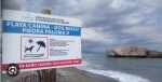 PLAYA PARA PERROS