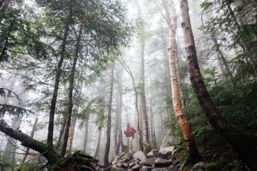 Hiking is just a short distance away!