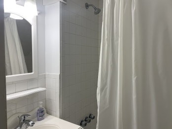 Tub/shower combo