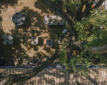 La terrasse côté jardin