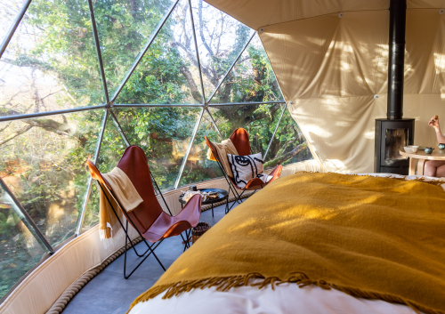 Inside the Treehouse Dome