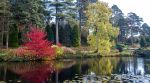 Bedgebury Pinetum - fantastic for an afternoon of cycling, walking, 