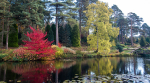 Bedgebury Pinetum, just a 20-minute drive from Rose Cottage, offers stunning natural scenery and peaceful walks, making it a perfect day-trip destination.