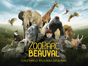 20 minutes from the famous ZooParc de Beauval.