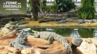 Ferme aux crocodiles