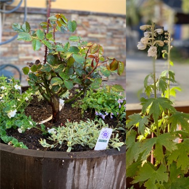 Spring 2019