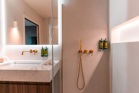 Chambre 1 avec douche