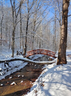 A winter view of our footbridge leading to our trail