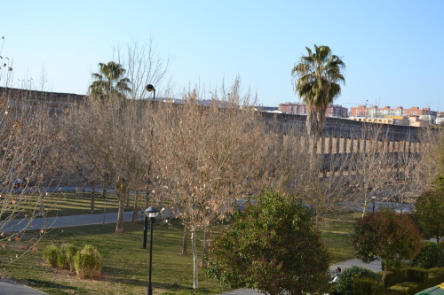 Vistas desde el apartamento: parque y Acueducto de San Lázaro
