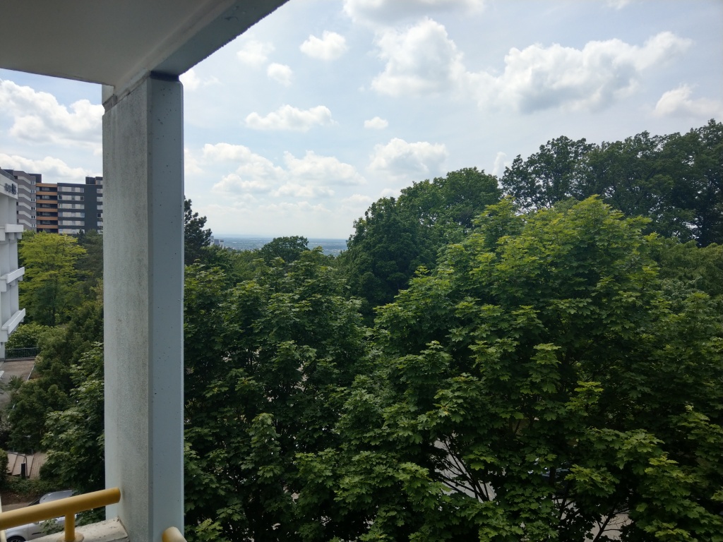 Blick vom Balkon über die Baumwipfel