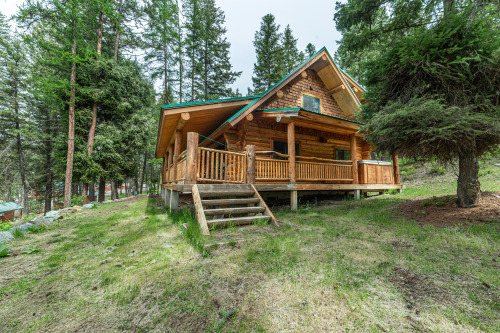Wayne Manor- Premium-Log Cabin-Private Bathroom- Lakeview