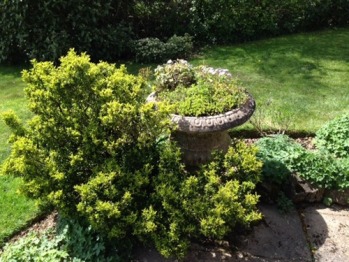 Back Garden - Gardens