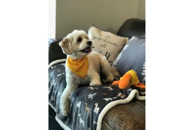 Don't forget my Blanket