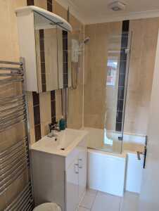 Modern Bath with Shower