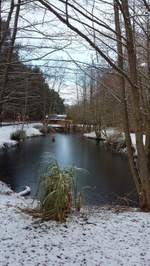 Wildlife Pond in Winter
