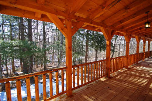 Back Deck and woods (south)