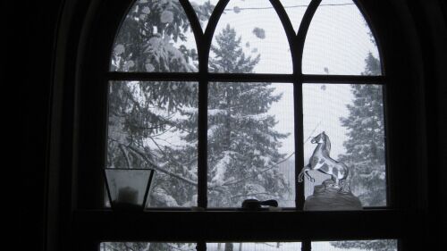 Snow fall out the Living room window