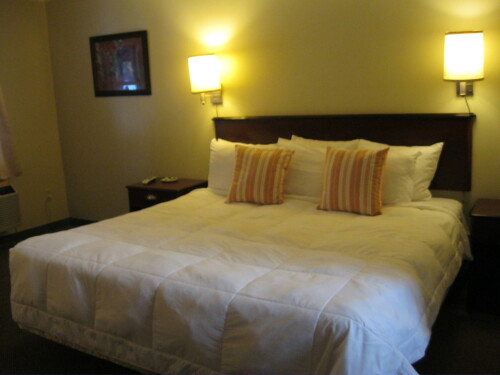 Spruce Queen Room
