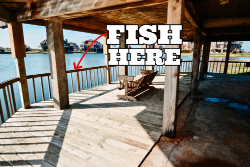 Fish right off the dock under your condo, great space.