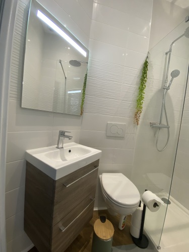 vasque et wc dans salle de bains