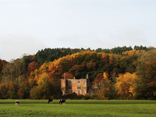 Autumnal view of the Castle from our 20 acre field