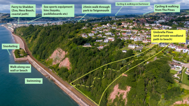 Location of Umbrella Pines